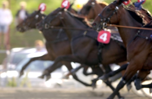 Torsdag den 1 april inleds V75® Spring Race. Upplägget är samma som tidigare år. Foto: Thomas Blomqvist, TR Bild